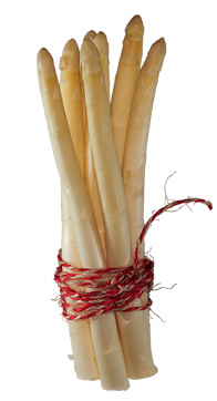 Spargel | &copy;:arco Wien | Foto:christian knava